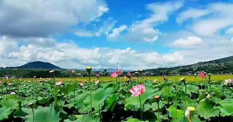 麗江研學(xué)旅行的定義及特點是什么？