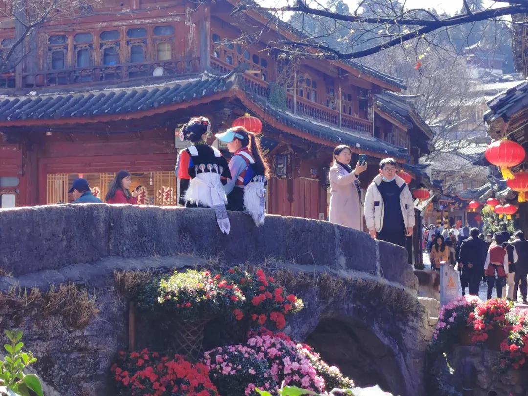 來麗江古城，感受花團錦簇、欣欣向榮