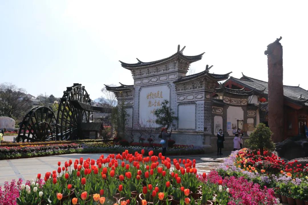 年味足、春意濃! 麗江古城春節(jié)假日旅游回暖
