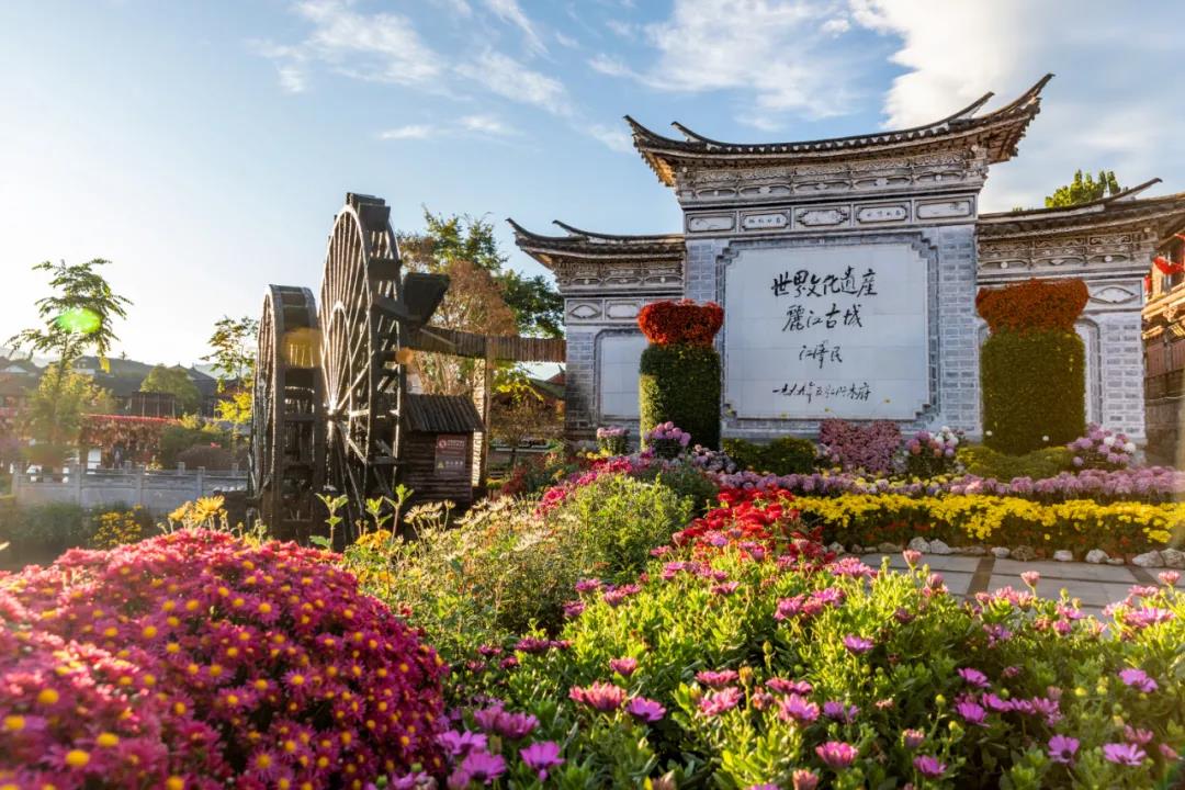 她們是麗江的“女神”，同意嗎？