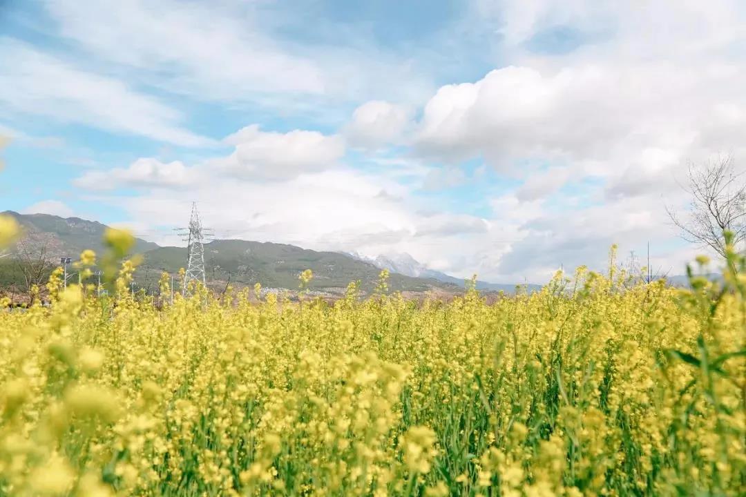 多彩麗江，村游正當(dāng)時，約起來！