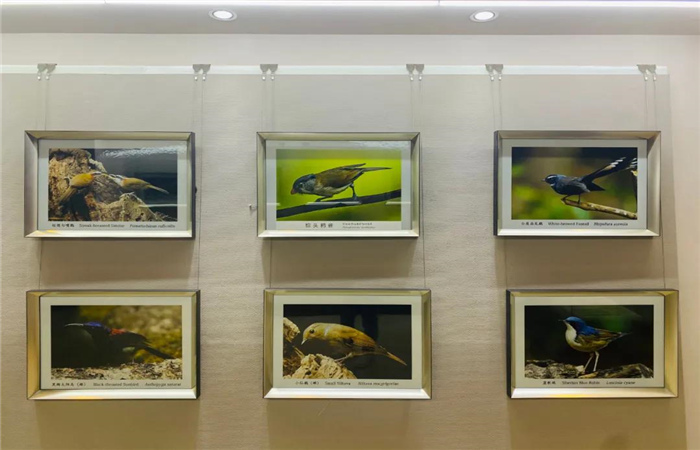 多維度展示滇西北生物多樣性！麗江這個中心值得一去