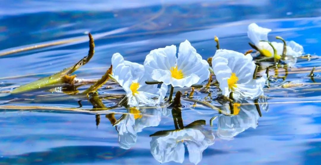 糟糕！瀘沽湖的“水性楊花”，讓我有了心動的感覺！