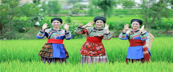 相約水鄉(xiāng)，邂逅激情！華坪縣新莊鄉(xiāng)首屆鄉(xiāng)村旅游節(jié)即將開幕