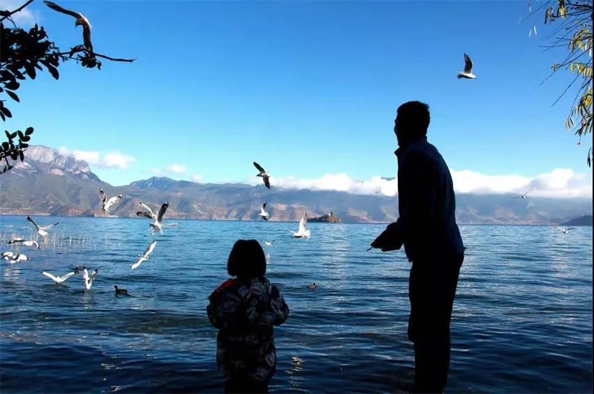 麗江傳媒公司：夢(mèng)境何處尋？——麗江打卡景點(diǎn)之瀘沽湖旅游攻略