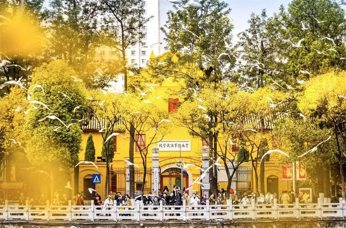 麗江旅游攻略：來云南邂逅不一樣的冬天，體驗麗江非遺文化