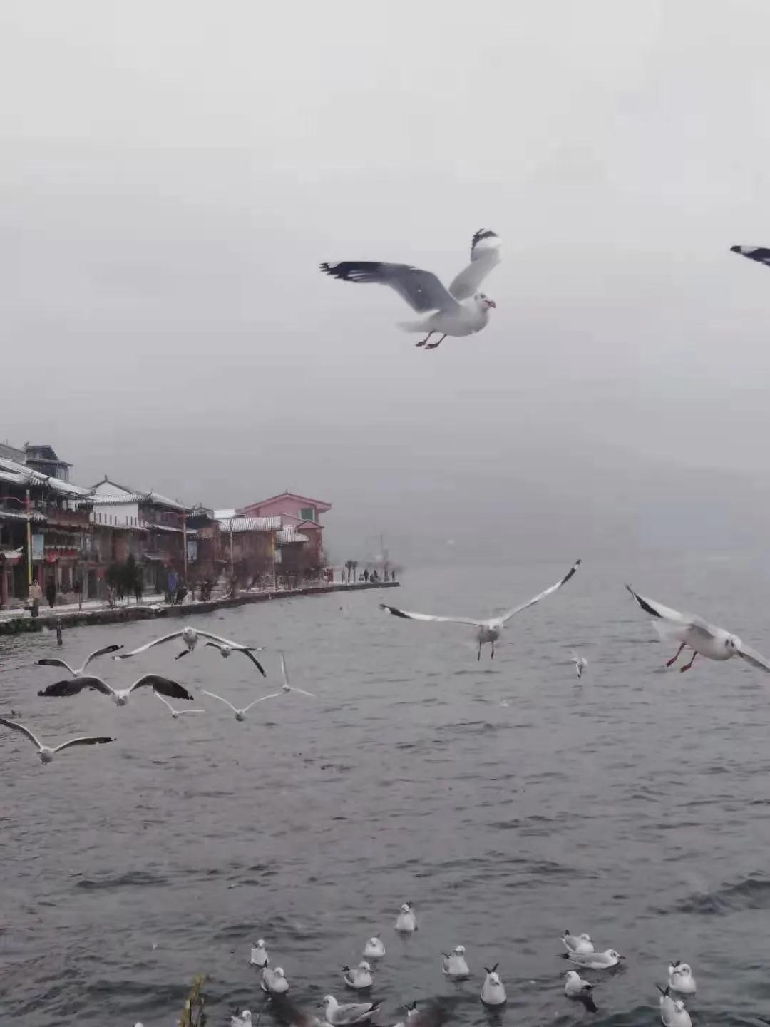 瀘沽湖